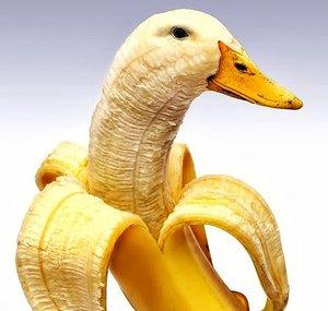 bananaduck27