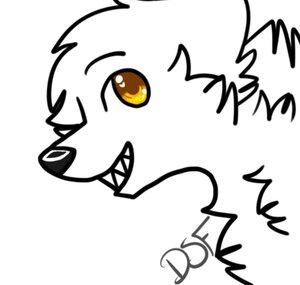 DarkShadowFury