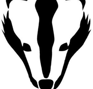 Fluid Badger Nerf