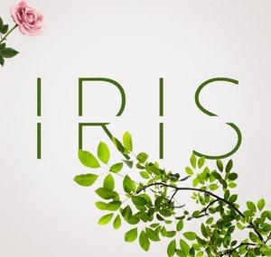 Iris Studios [CLOSED]