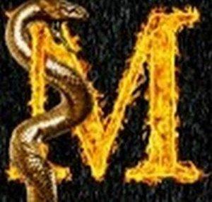Markus e the Viper