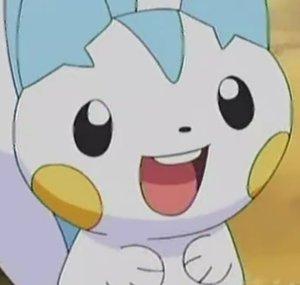 Pachi101