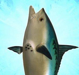 Realistic Fish Head