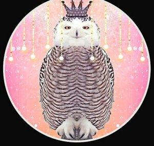 Thee Owl Queen - Owlology
