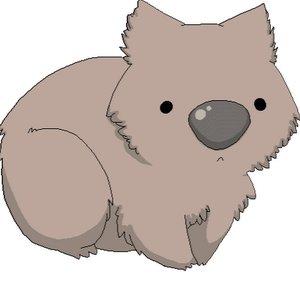 Wondrous Wombat