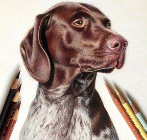 Alix Fuerst Art
