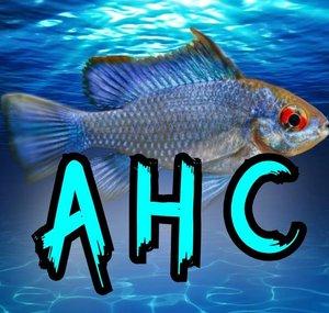 AquaHobbyCancun