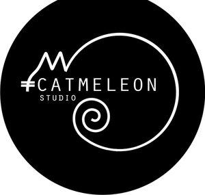 Catmeleon Studio