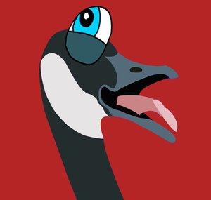 FlooKooTV