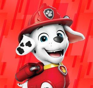 Patrulha Pata - PAW Patrol Portugues