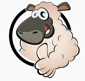 SkinOvelha