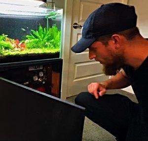 The Planted Tank