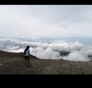 Trip with me!