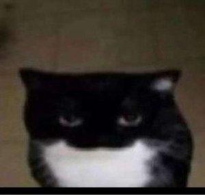 _Vervent_