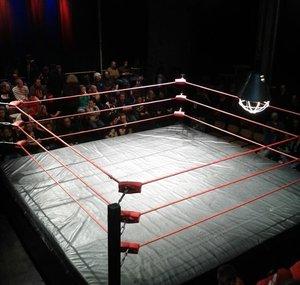 WrestleFACTS