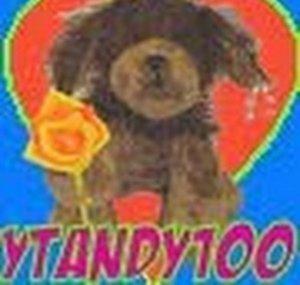 YTANDY100