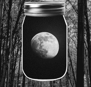 Appalachian Oddity