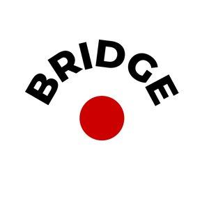 BRIDGEo PaPaTVgmp