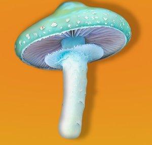 Cogumelo Charmoso