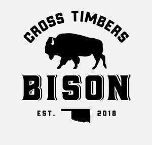 Cross Timbers Bison