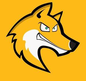 Energetic Fox Studios