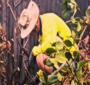 GardenCamMan