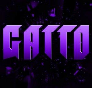 Gatto