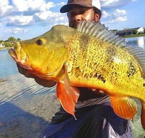 Monster Mike Fishing