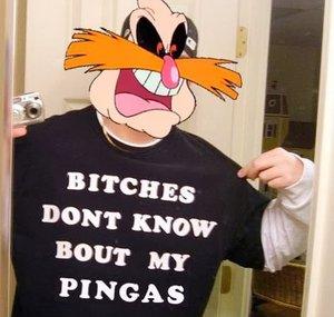 Netanel Pingas