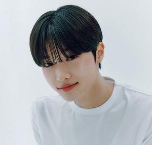 손동표 (SON DONG PYO)