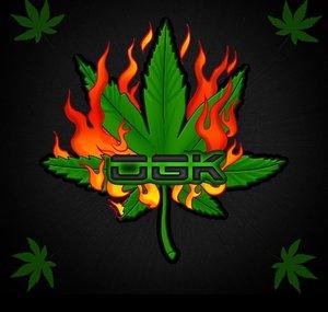 TehOGK