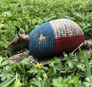 Armadillo Junction