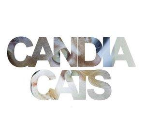 Candia Cats