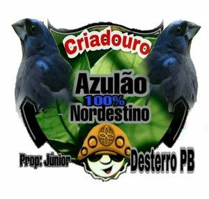 Criadouro Azulões 100%Nordestino AZULÃO & CIA