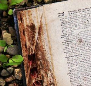 Dictionary of Obscure Sorrows