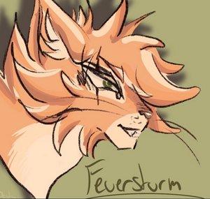 ꧁Feuersturm꧂
