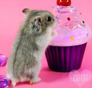 HoppingHammy
