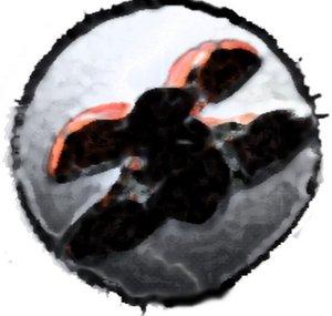 Nitro Ladybug