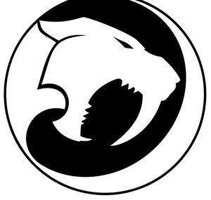 SaberInSpace