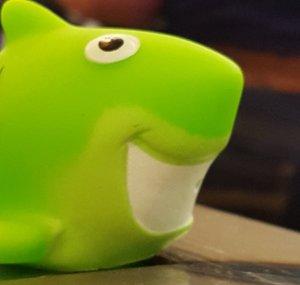 Shark