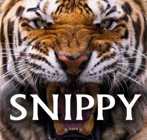 Snippy Norsk Fifa