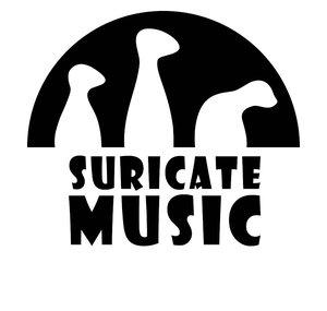Suricate Music