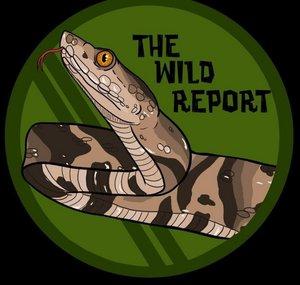 The Wild Report