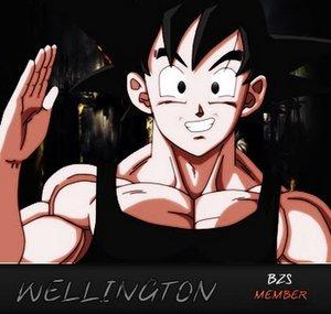 Wellington Silva