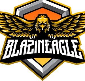 1BlazinEagle1