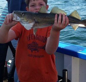 Fish Crazy