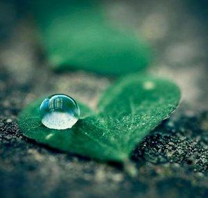 Healing Rain - Relaxing Sounds