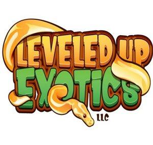 Leveled Up Exotics