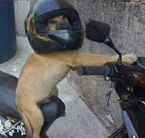 ManowziNbr