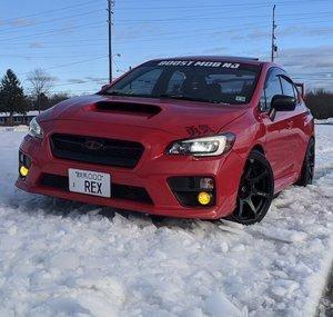 n8_rex